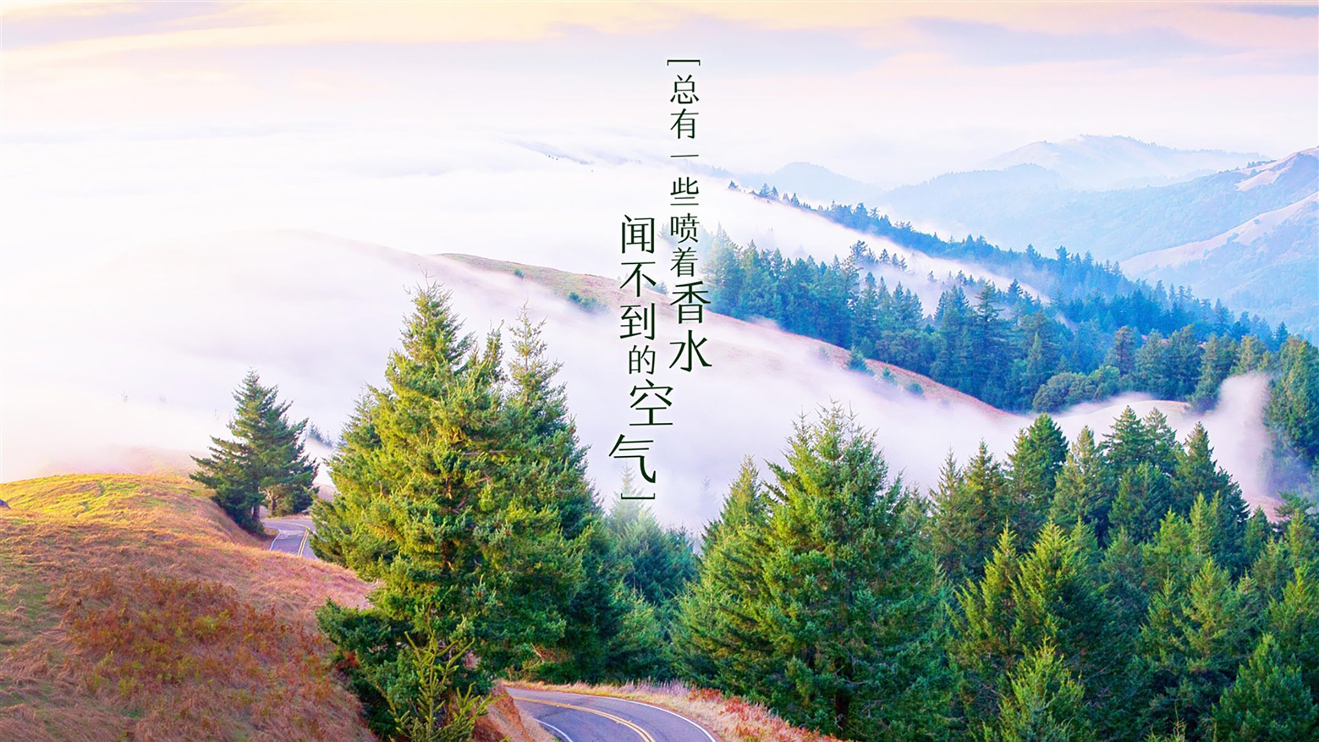 G组欧陆红魔高空轰炸:2026世界杯比利时vs埃及后防真空盲区长传冲吊防空落点概率推演